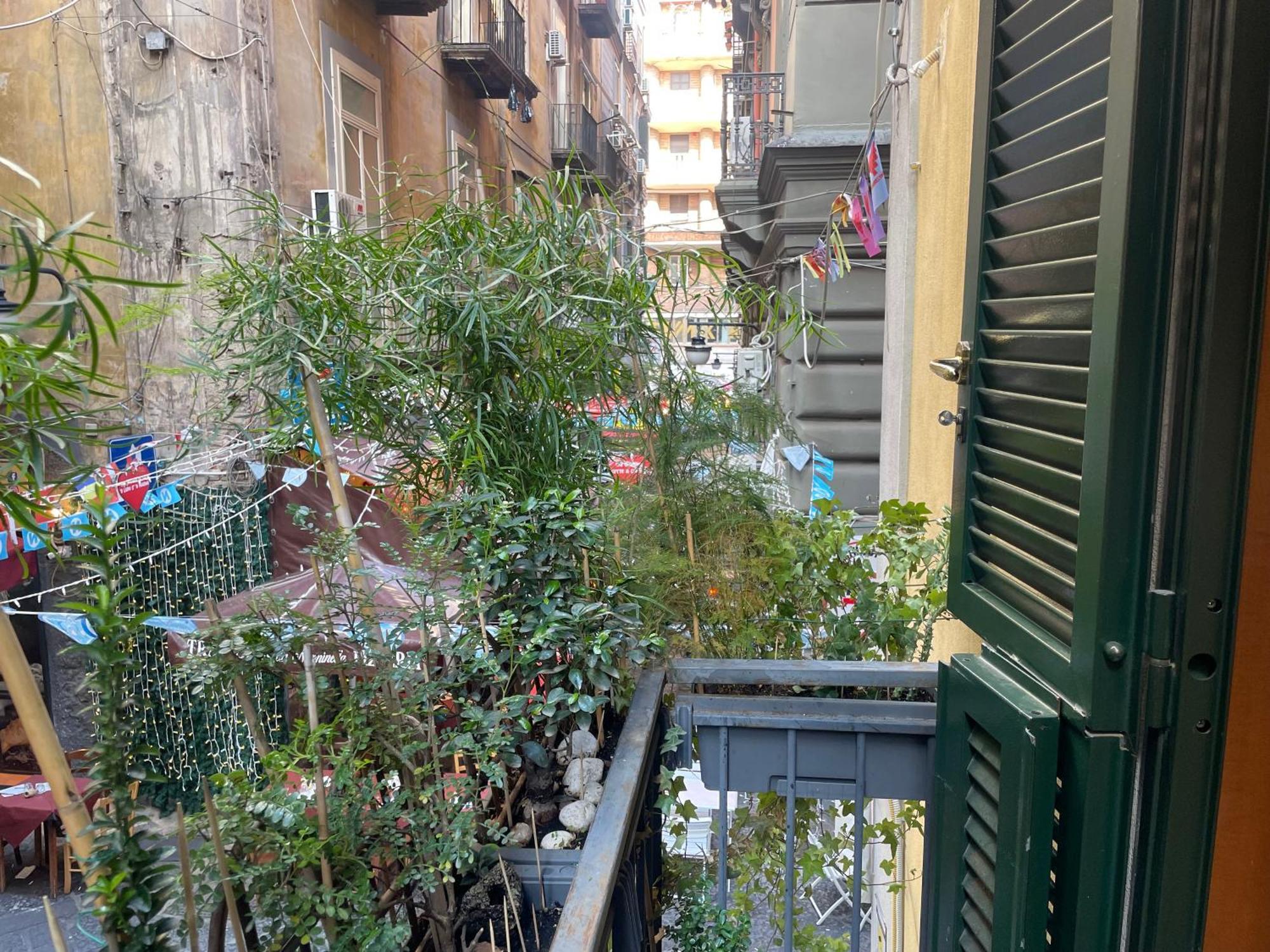 Appartement Toledo Center *